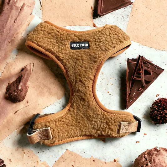 Teddy Chocolate Harness