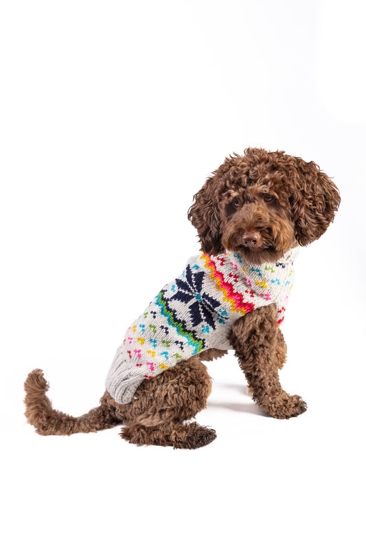 Regenbogen Schneeflocken - Hundepullover