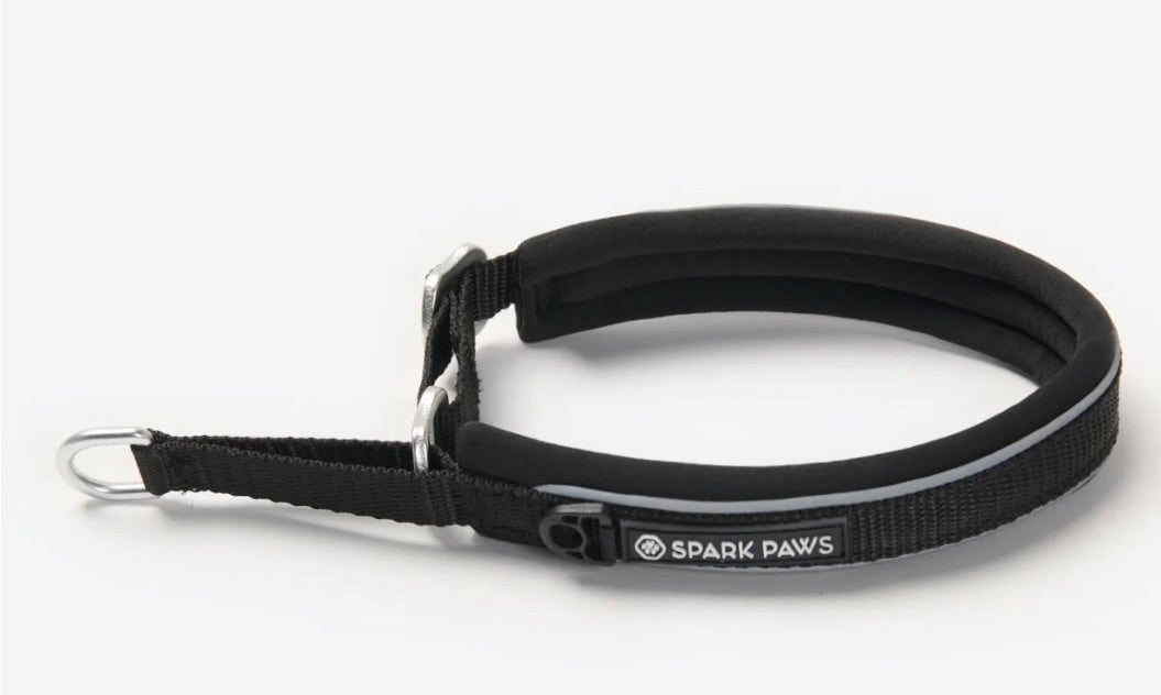 gepolstertes Martingal Halsband - spark paws