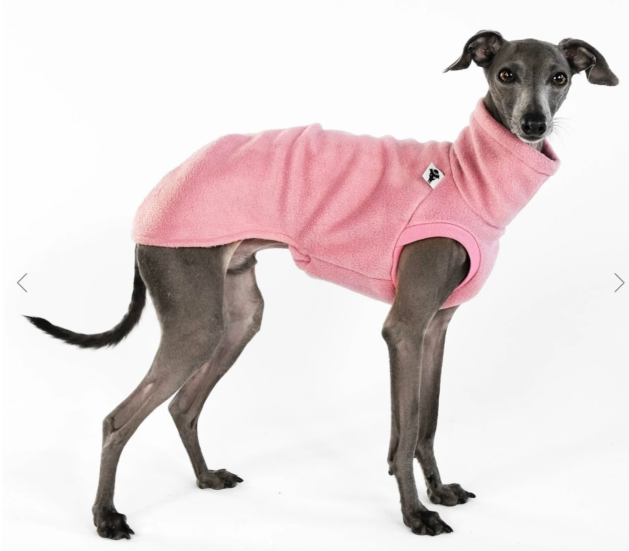 Fleece Shirt Windhund Mulberry - Karma dog