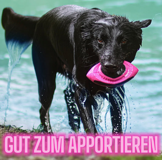 ne&no® Hunde-Football – Schwimmt – Neon Pink – Apportieren