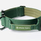 Comfort & Control Halsband grün – Sparkpaws