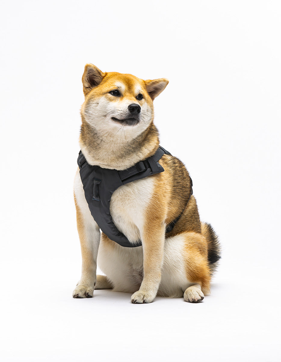 City Life Geschirr – Anthrazit