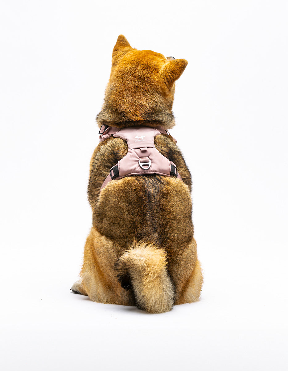 City Life Geschirr – Rosa