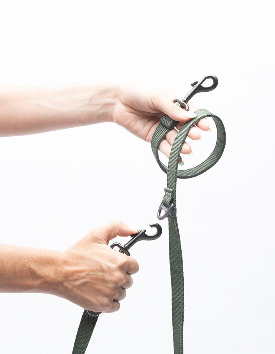 CITY LIFE - Training Leash khaki