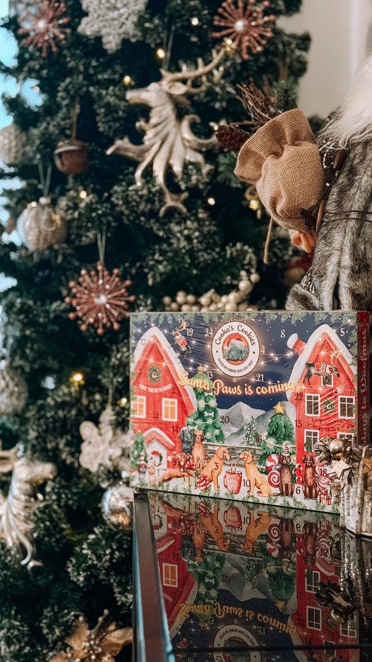 Adventskalender für Hunde