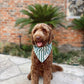 Crew Dog Bandana - the paws