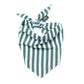 Crew Dog Bandana - the paws