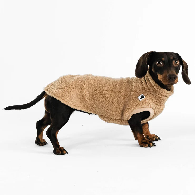 Long Shirt für Dackel - BEIGE TEDDY