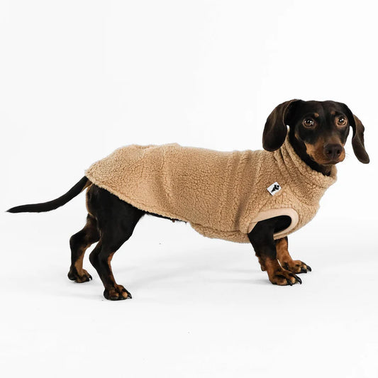 Long Shirt für Dackel - BEIGE TEDDY