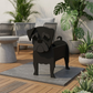 Blumentopf - als Hund