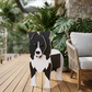 Blumentopf - als Hund