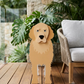 Blumentopf - als Hund