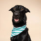 Gili Dog Bandana - the paws