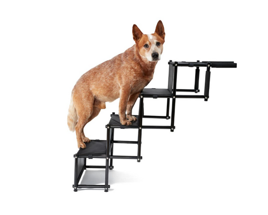 Auto Treppe