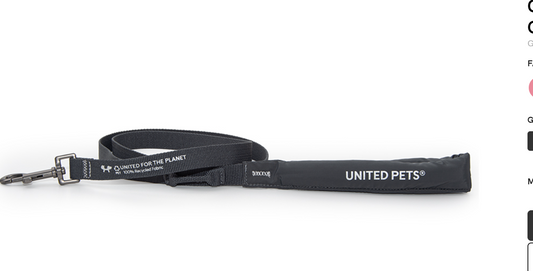 CITY LIFE - Soft Leash - anthrazit