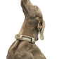 City Life Halsband - beige
