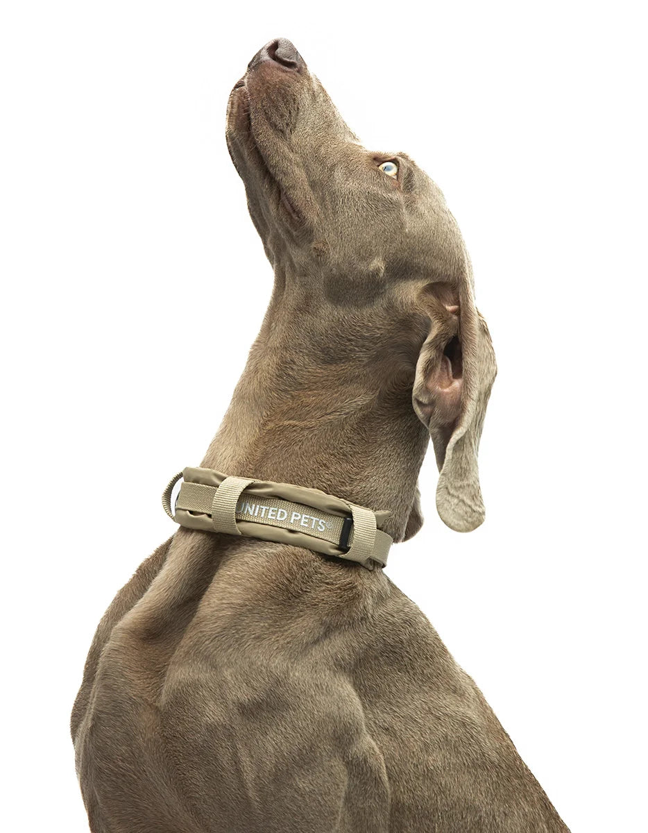 City Life Halsband - beige