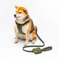 CITY LIFE - Soft Leash - Khaki