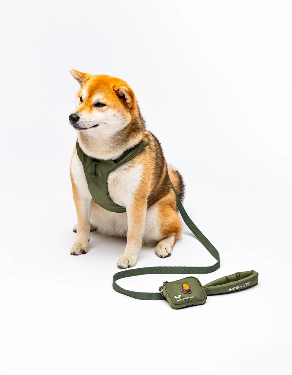 CITY LIFE - Soft Leash - Khaki