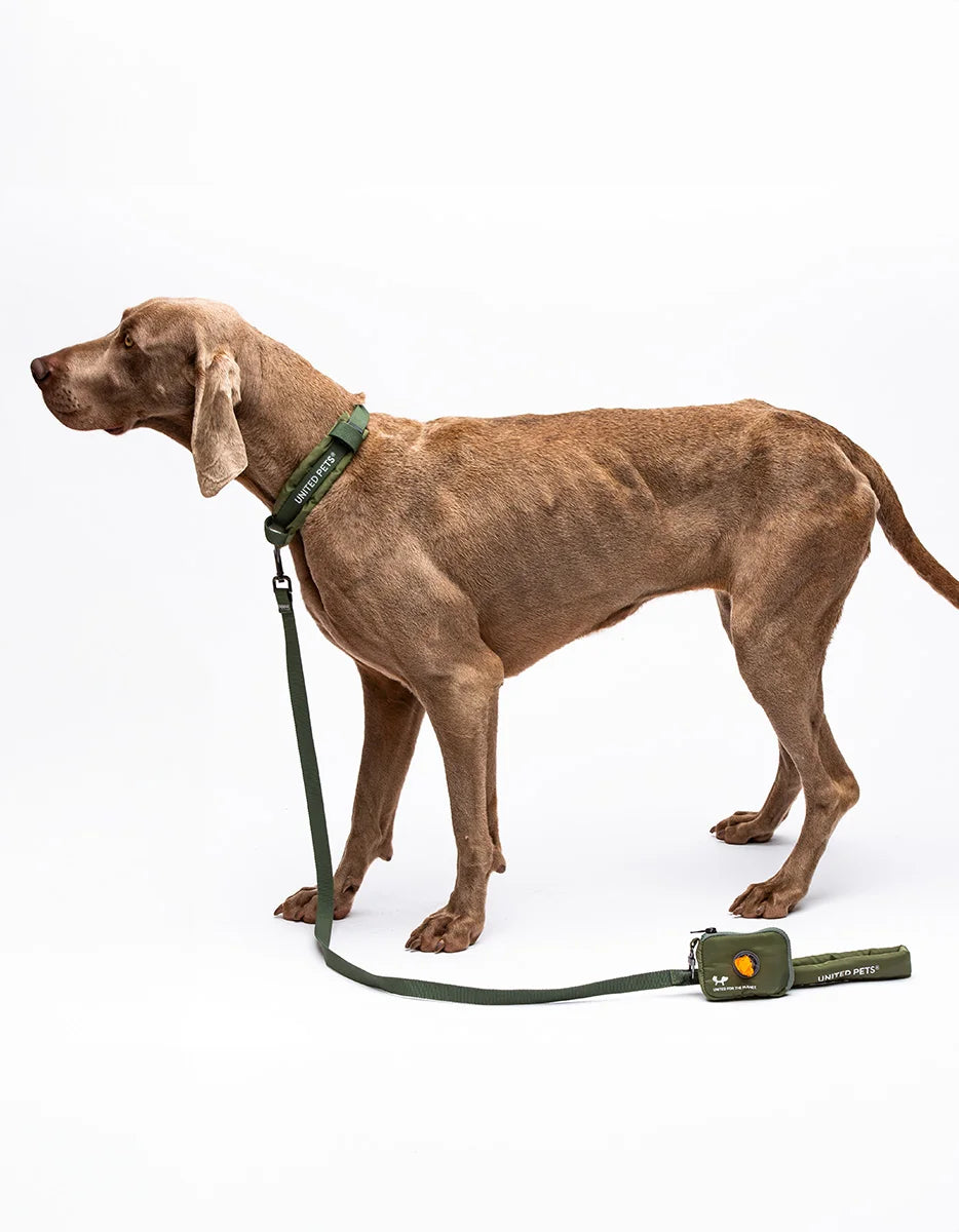 CITY LIFE - Soft Leash - Khaki