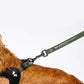 CITY LIFE - Soft Leash - Khaki