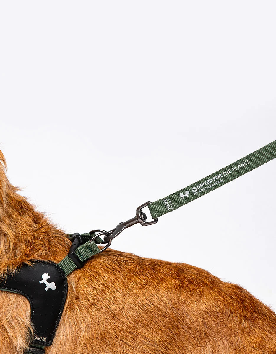 CITY LIFE - Soft Leash - Khaki