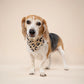 Urban Dog Bandana - the paws