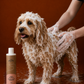 Extra Sensitive Puppy Shampoo – Gentle & Mild Care | 250 ml