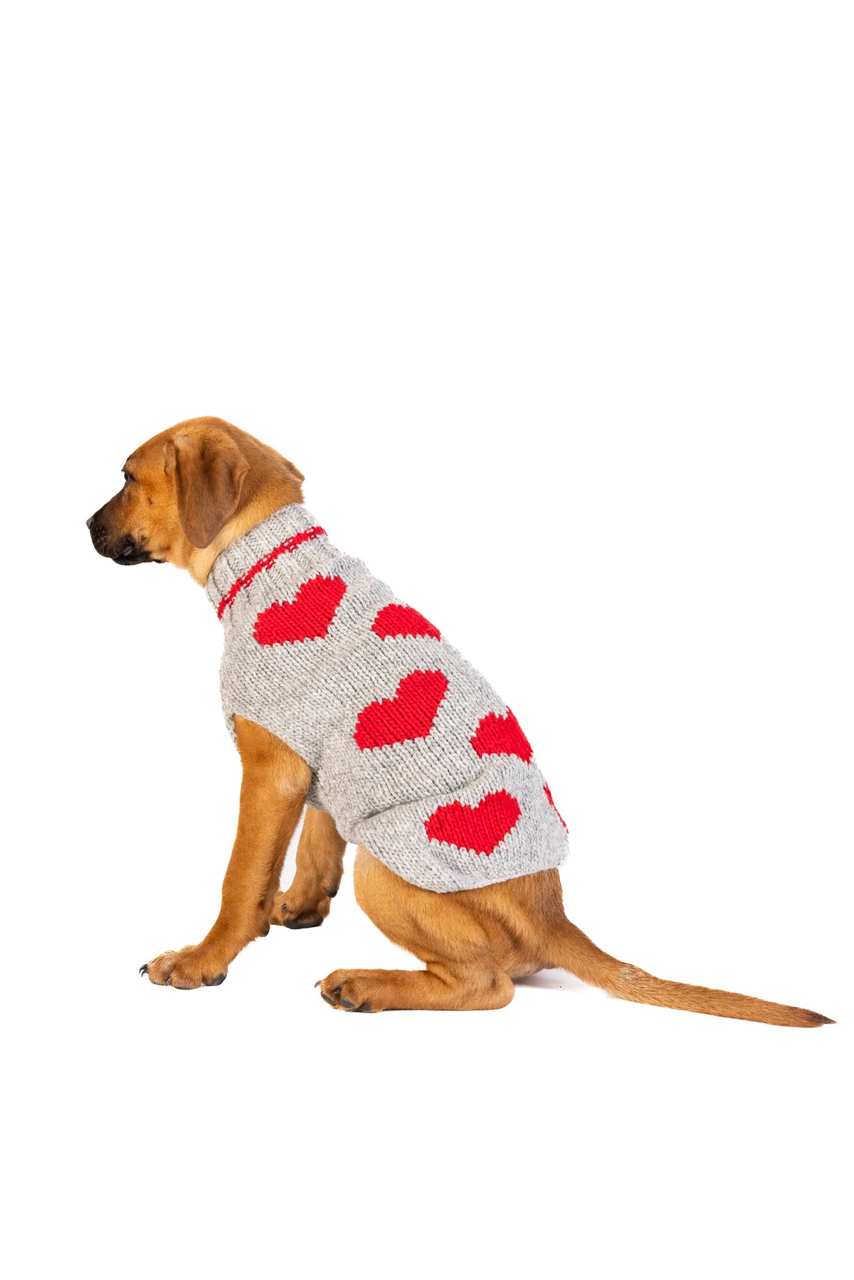 rote Herzen - Hundepullover