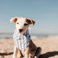 Cabana Blue Stripes  Dog Bandana