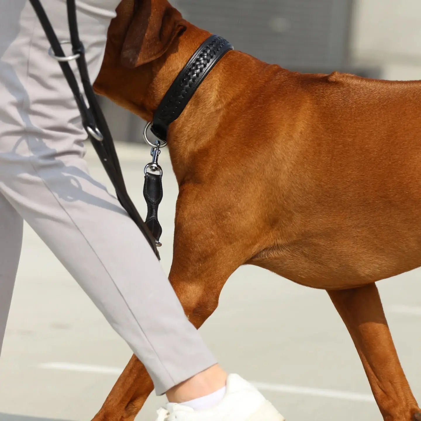 Lederhalsband Black Pepper