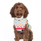Regenbogen Schneeflocken - Hundepullover