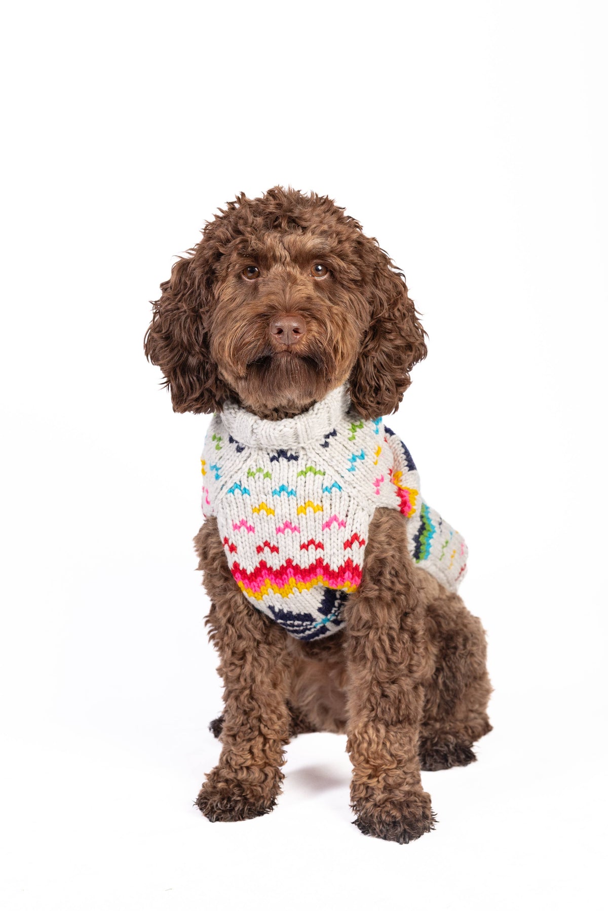 Regenbogen Schneeflocken - Hundepullover