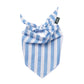Cabana Dog Bandana - The Paws