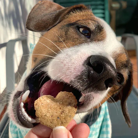 Chicken Love - Cookas Cookies