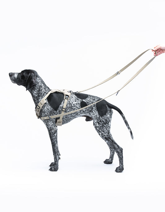 CITY LIFE - Training Leash beige