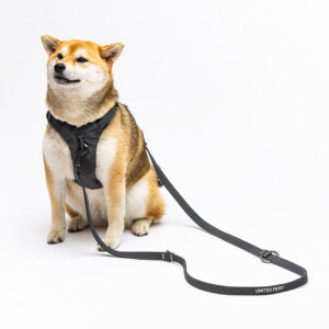CITY LIFE - Training Leash anthrazit