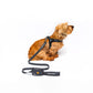 City Life Fast Fit & Step In Geschirr - Anthrazit