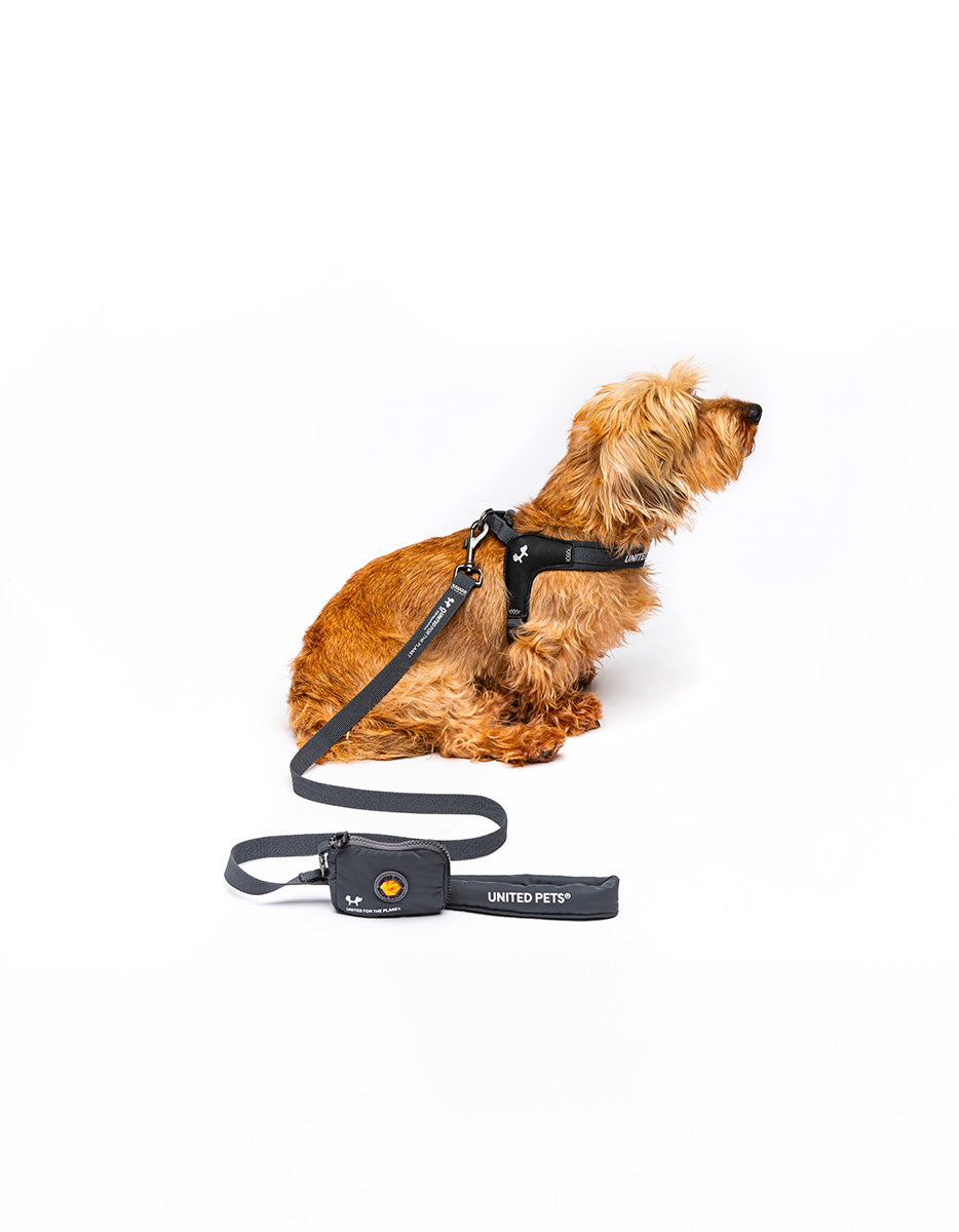 City Life Fast Fit & Step In Geschirr - Anthrazit