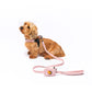 City Life Fast Fit & Step In Geschirr - rosa