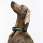 City Life Halsband - khaki