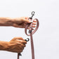 CITY LIFE - Training Leash rosa