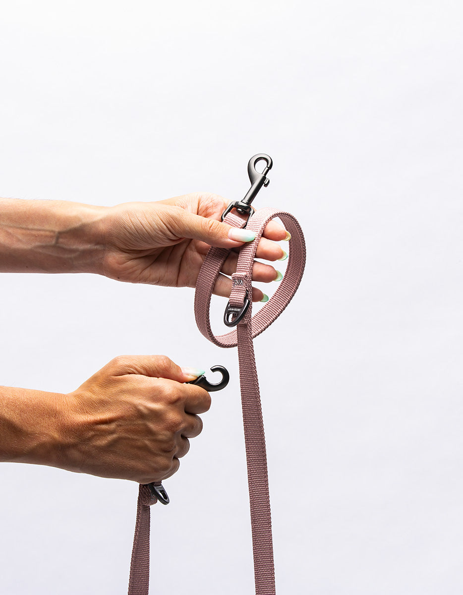 CITY LIFE - Training Leash rosa