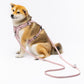 CITY LIFE - Training Leash rosa