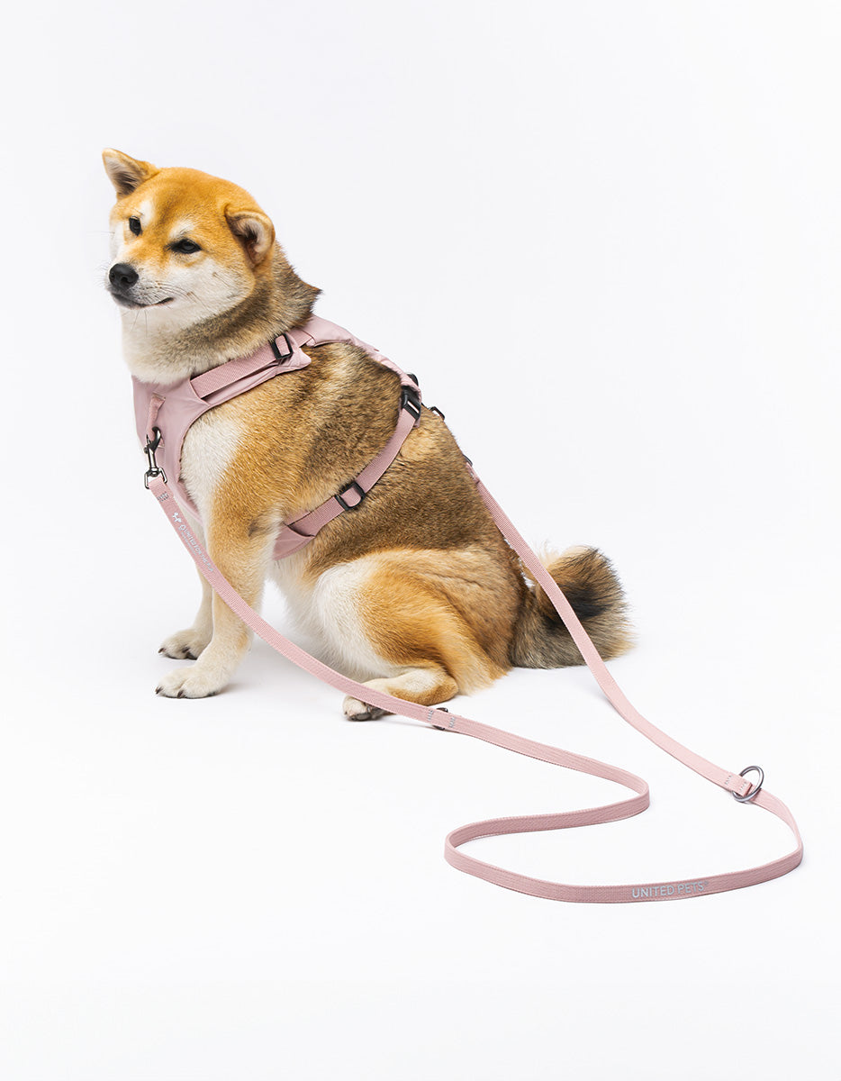 CITY LIFE - Training Leash rosa