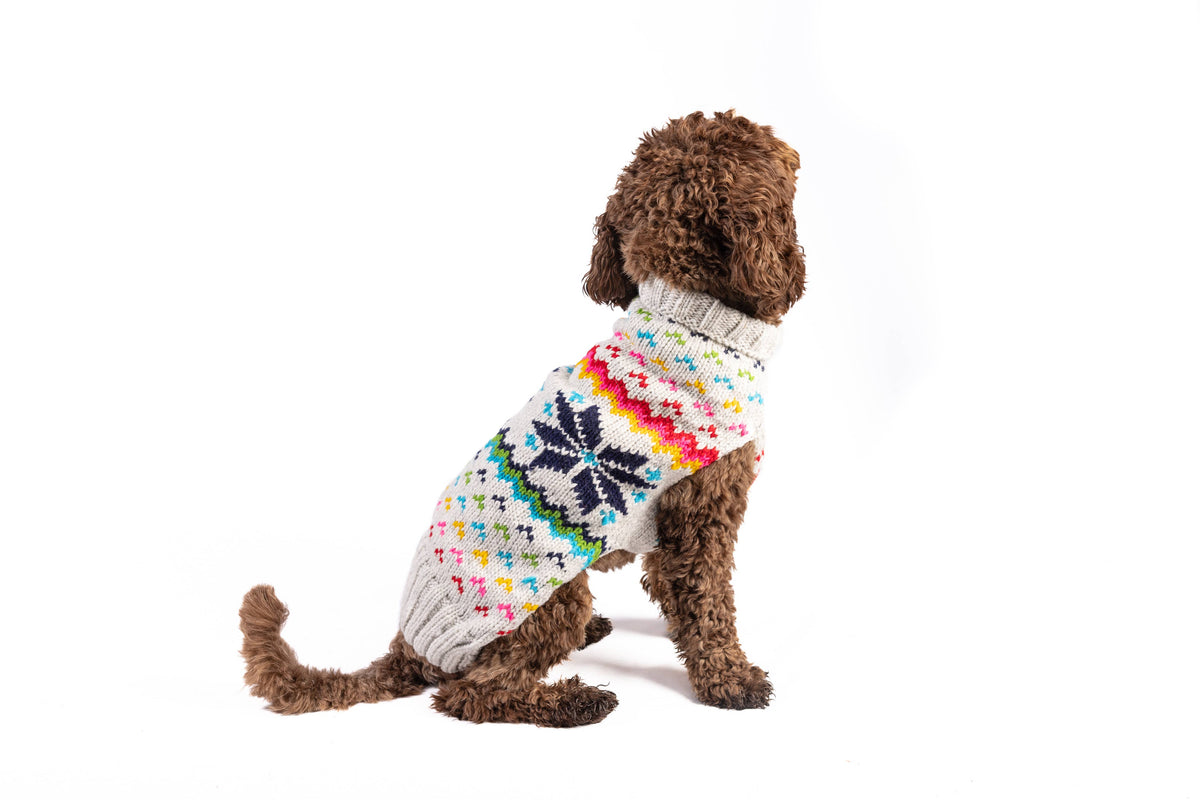 Regenbogen Schneeflocken - Hundepullover