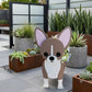 Blumentopf - als Hund