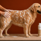 Anti-Odour Dog Shampoo – Odour Control & Fresh Coat | 250 ml