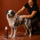 Dog Rinse-Off Conditioner – Coat Care & Detangling | 250 ml